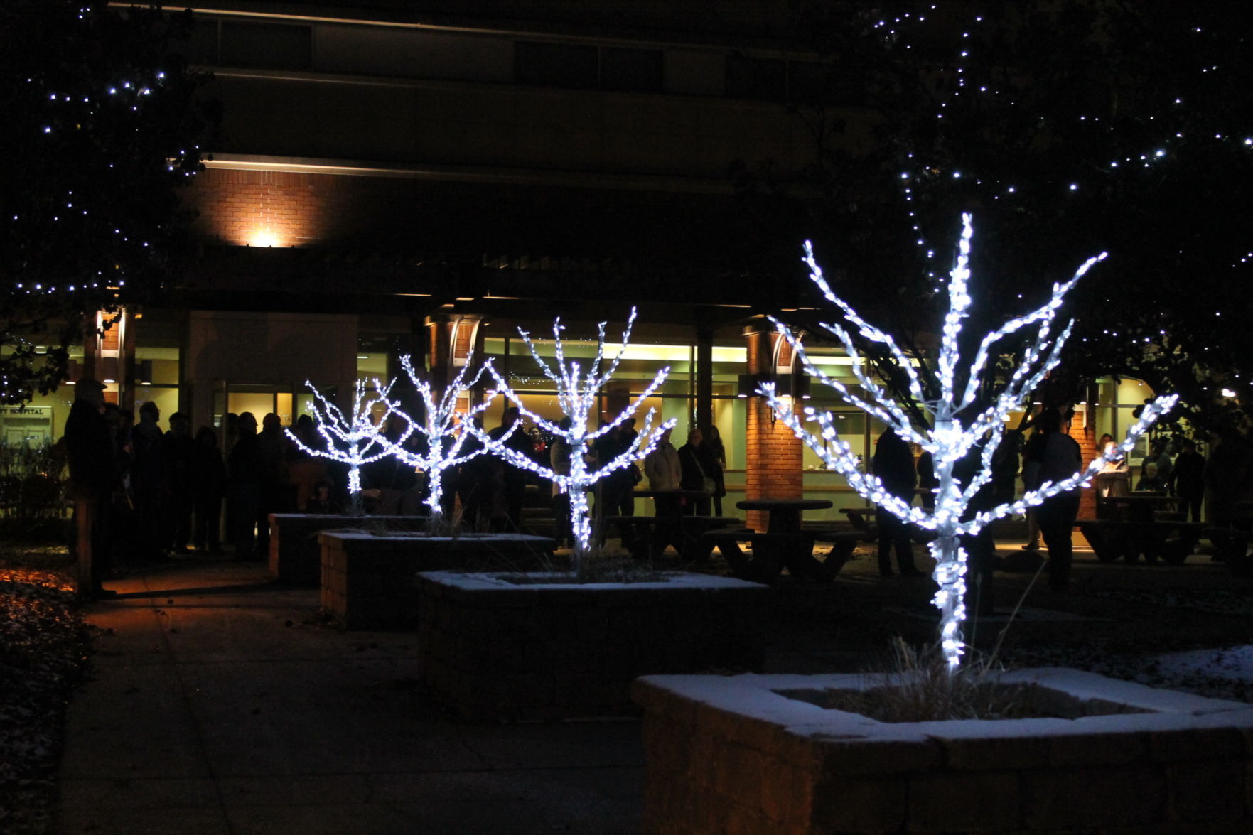 2018 Tree of Lights 024.JPG
